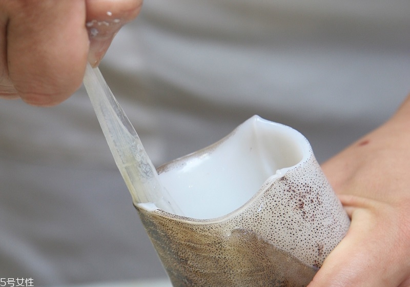 魷魚(yú)怎么做嫩 魷魚(yú)怎么處理不硬 魷魚(yú)怎么做嫩 魷魚(yú)怎么處理不硬