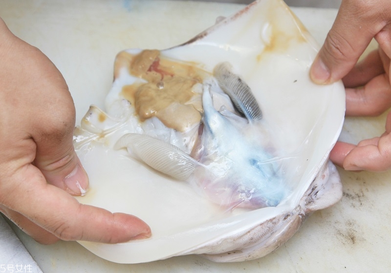 魷魚(yú)怎么做嫩 魷魚(yú)怎么處理不硬 魷魚(yú)怎么做嫩 魷魚(yú)怎么處理不硬