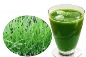 大麥若葉青汁是什么做的？