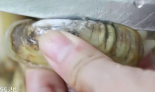 蔥香蟶子的做法 蔥香蟶子怎么做好吃？