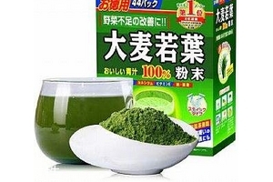 大麥若葉青汁小孩可以喝嗎？