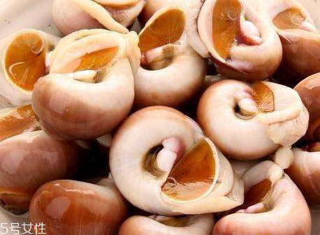 香螺多少錢一斤 香螺的選購技巧 香螺多少錢一斤 香螺的選購技巧