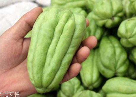 佛手瓜什么時候種最好 佛手瓜的育苗時間 佛手瓜什么時候種最好 佛手瓜的育苗時間