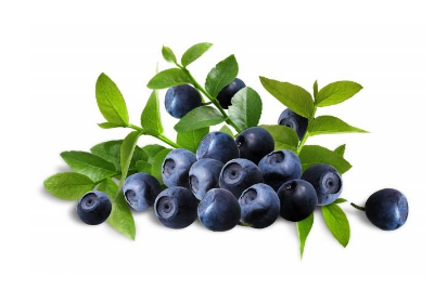 花青素能祛斑嗎？花青素對斑有用嗎？