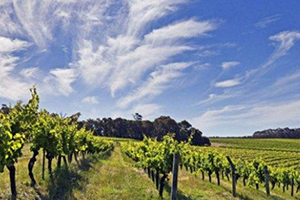 lellure是什么牌子？lellure是哪國的？