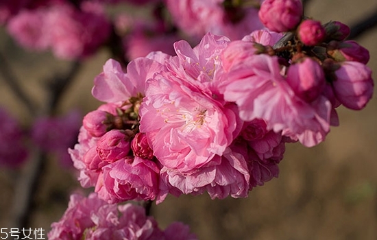 祛斑的方法有哪些 蘆薈膠能淡化斑嗎 祛斑的方法有哪些 蘆薈膠能淡化斑嗎
