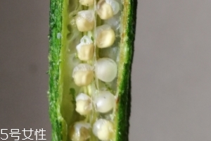 秋葵干好吃嗎？秋葵干怎么吃？