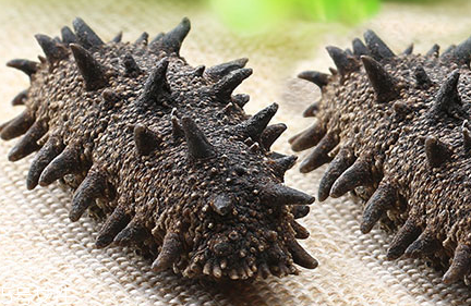 海參會過期嗎？海參的保質(zhì)期