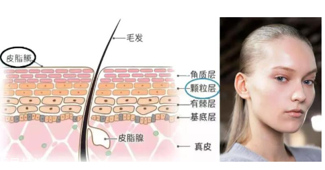 日霜和晚霜什么區(qū)別 按年齡怎么挑面霜 日霜和晚霜什么區(qū)別 按年齡怎么挑面霜