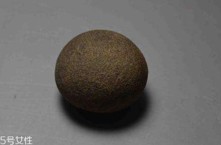 驢寶是什么東西 驢寶的保存方法 驢寶是什么東西 驢寶的保存方法