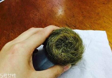 豬砂的功效與作用 豬砂為什么那么貴 豬砂的功效與作用 豬砂為什么那么貴