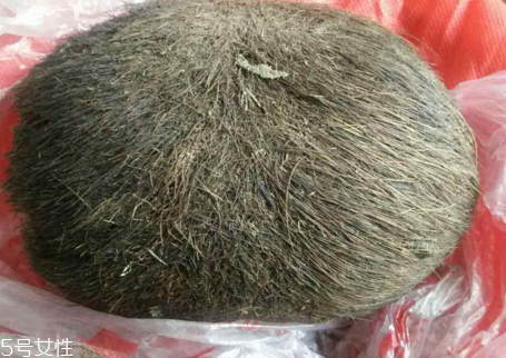 豬砂的功效與作用 豬砂為什么那么貴 豬砂的功效與作用 豬砂為什么那么貴