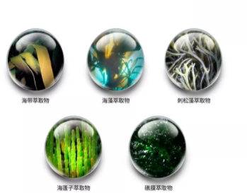 jm防曬噴霧什么味道？jmsolution防曬噴霧好聞嗎？