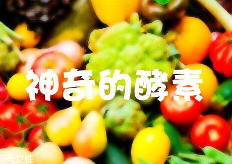 酵素減肥真都有用嗎 酵素減肥多久見效 酵素減肥真都有用嗎 酵素減肥多久見效