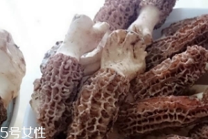 羊肚菌是什么東西？羊肚菌能吃嗎？