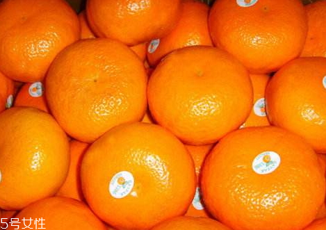 澳柑多少錢(qián)一斤 澳柑怎么挑選 澳柑多少錢(qián)一斤 澳柑怎么挑選