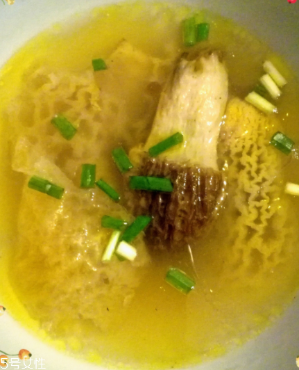 羊肚菌是怎么長出來的？