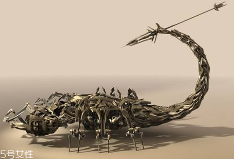 蝎子多少錢一斤2018 蝎子的藥用價值 蝎子多少錢一斤2018 蝎子的藥用價值