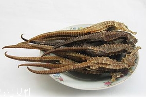 海馬多少錢一斤 海馬多少錢一克2018 海馬多少錢一斤 海馬多少錢一克2018