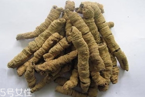 巴戟天多少錢一斤 巴戟天怎么選購 巴戟天多少錢一斤 巴戟天怎么選購