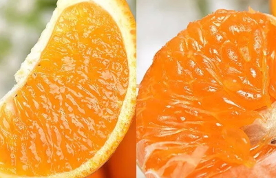 青見柑橘好吃嗎？青見柑橘酸嗎