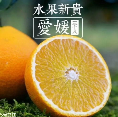 愛媛38號(hào)多少錢一斤？愛媛38號(hào)柑桔市場(chǎng)行情