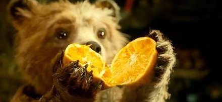 倫晚臍橙和夏橙哪個好？倫晚臍橙和其他橙子的區(qū)別