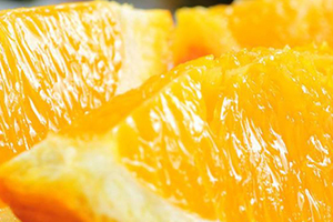 倫晚臍橙和夏橙哪個好？倫晚臍橙和其他橙子的區(qū)別