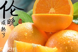 倫晚臍橙口感是酸的還是甜的？倫晚臍橙好吃嗎