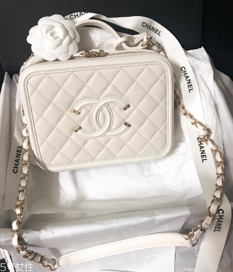 chanel相機包有哪幾種尺寸？香奈兒相機包尺寸多大