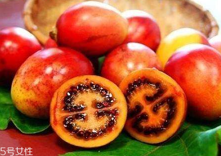 樹番茄怎么種 樹番茄的生長(zhǎng)條件