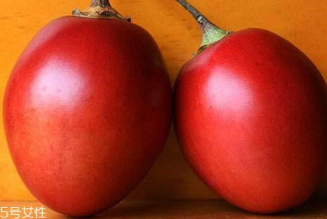 樹番茄怎么種 樹番茄的生長(zhǎng)條件