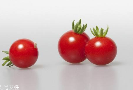 櫻桃蕃茄幾月播種 櫻桃蕃茄怎么種植 櫻桃蕃茄幾月播種 櫻桃蕃茄怎么種植