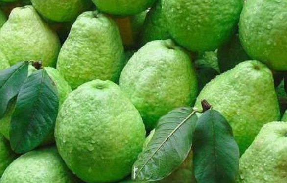 低糖水果有哪些？十大低糖水果排行榜