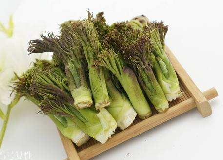 刺老芽怎么保存 刺老芽可以放冰箱嗎 刺老芽怎么保存 刺老芽可以放冰箱嗎