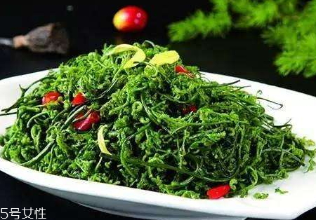 菊花腦什么時(shí)候種 菊花腦什么時(shí)候采收 菊花腦什么時(shí)候種 菊花腦什么時(shí)候采收