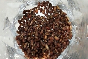 青稞茶怎么沖泡？青稞茶沖泡方法