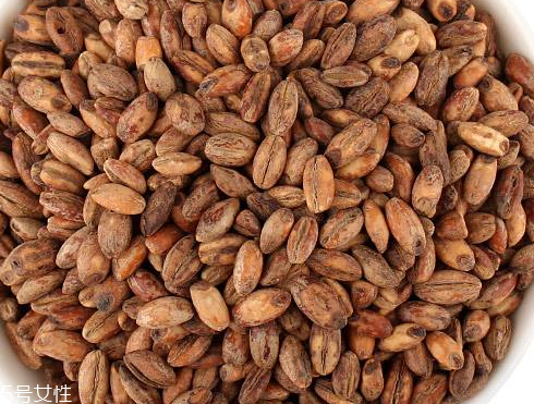 青稞茶怎么做好吃？青稞茶做法