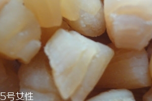 干貝是海鮮嗎？干貝是什么動(dòng)物做的？