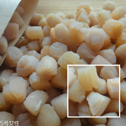 干貝是海鮮嗎？干貝是什么動(dòng)物做的？