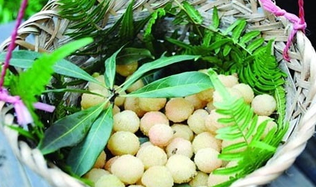 哪里能買到白楊梅？白楊梅上市時(shí)間