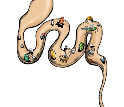 瀉藥會影響吸收嗎？瀉藥對吸收有影響嗎？