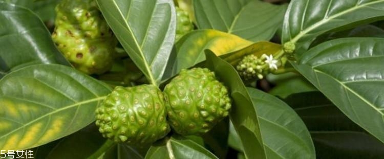 米蘭達(dá)可兒自創(chuàng)品牌kora怎么樣？kora明星產(chǎn)品有什么？