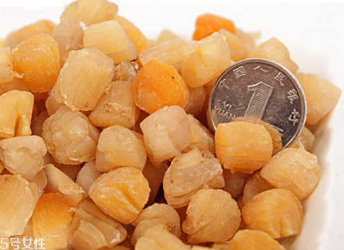 干貝會過敏嗎？海鮮過敏能吃干貝嗎？