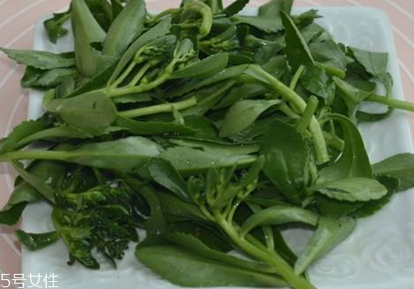 高鈣菜多少錢(qián)一斤 高鈣菜的營(yíng)養(yǎng)價(jià)值