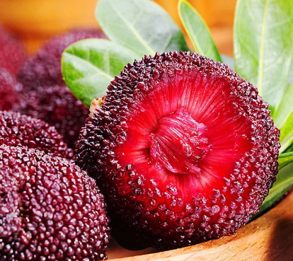 云南楊梅什么時候成熟？云南楊梅哪里產的