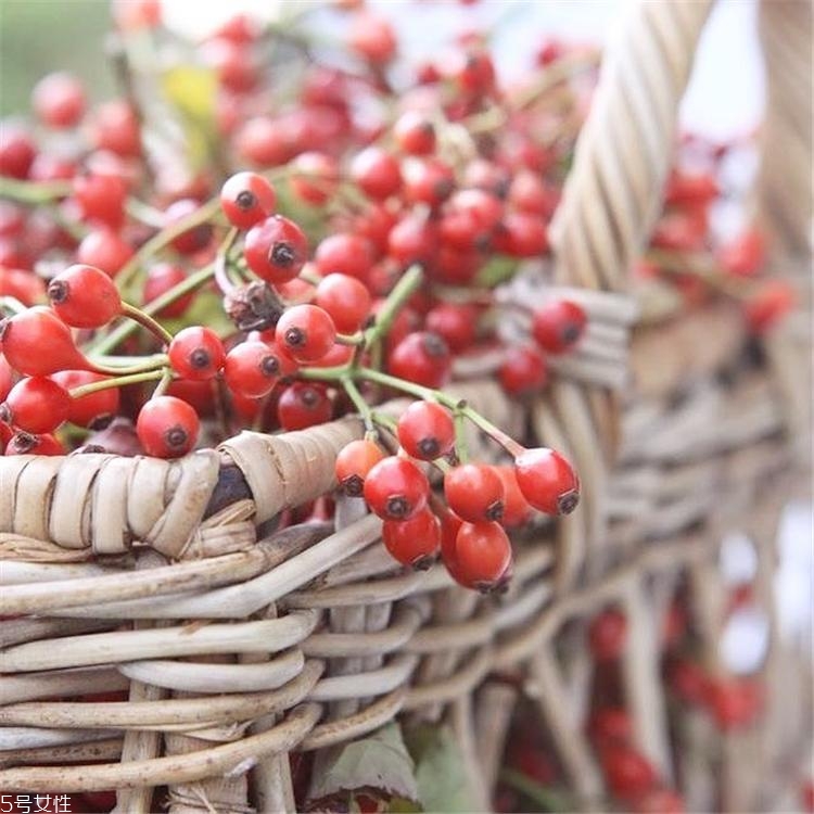 澳洲kosmea什么檔次 kosmea明星產(chǎn)品有什么 澳洲kosmea什么檔次 kosmea明星產(chǎn)品有什么