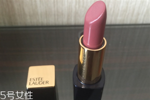 雅詩蘭黛豆沙色是幾號(hào) 雅詩蘭黛440是豆沙色嗎