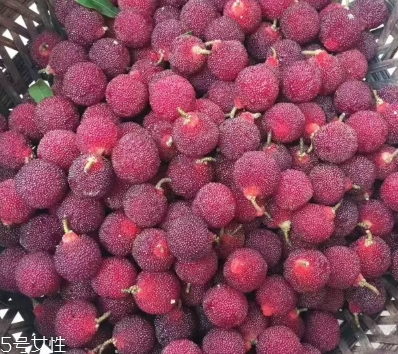 烏酥楊梅多少錢一斤？烏酥楊梅好吃嗎