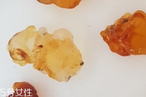 桃膠能生吃嗎？生吃桃膠可以嗎？